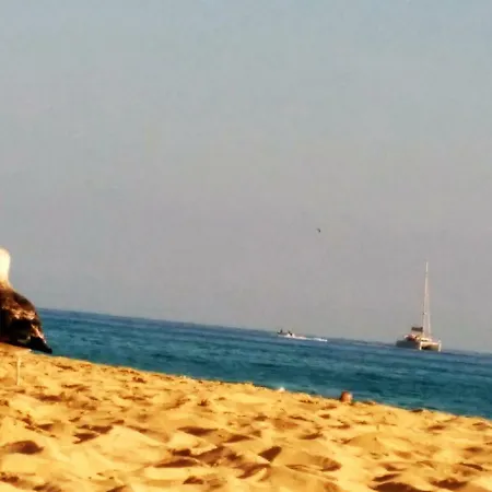 On The Seafront, Overlooking The Beach, Swimming Pools, Equipped. Wifi Morro Jable (Fuerteventura)